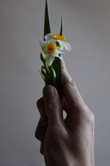 「花掌」